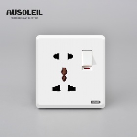 A20019 1 gang switch +versatilefive-hole socket w/neon