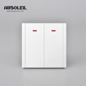 C10-010 2 gang 1way switch with  indicator (fluorescence)